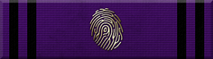 Detective Support Commendation Ribbon