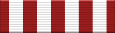 12 Months of Service Ribbon