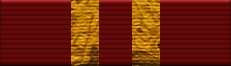 18 Months of Service Ribbon