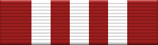 9 Months of Service Ribbon