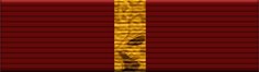 15 Months of Service Ribbon