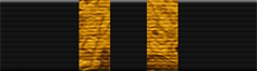 30 Months of Service Ribbon