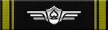 Air Support Veteran Ribbon