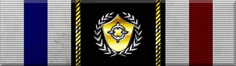 2024 Guardian's Aim Ribbon