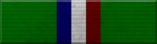 Police Life Saving Medal