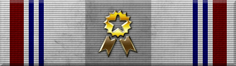 Lincoln Award Winner Ribbon