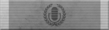 Public Information Ribbon
