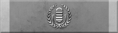 Public Information Veteran Ribbon