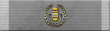 Public Information Commendation Ribbon