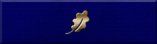 Bronze Oak Leaf Commendation Ribbon