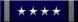 Staff Officer Recognition and Excellence Medal