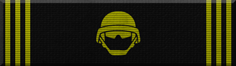 Special Weapons and Tactics Ribbon