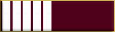 30 Months Service Award (2.5 years)