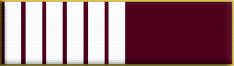 36 Months Service Award (3 years)