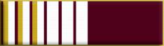 39 Months Service Award (3.3 years)