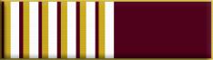 43 Months Service Award (3.6 years)