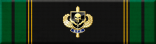 Special Enforcement Detail Ribbon