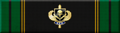 Special Enforcement Detail Ribbon