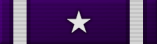 Public Defense Division Command Ribbon