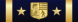 Government Service Award
