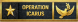 2025 Operation Icarus Ribbon